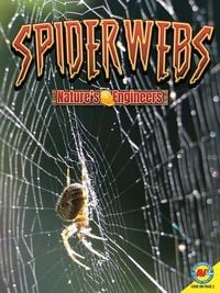 Produktbild: Spiderwebs