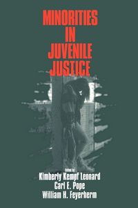 Produktbild: Minorities in Juvenile Justice