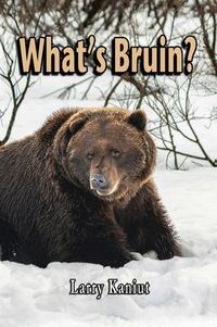 Produktbild: What's Bruin?