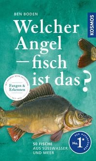 Produktbild: Welcher Angelfisch ist das?