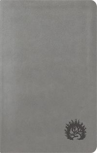 Produktbild: ESV Reformation Study Bible, Condensed Edition - Light Gray, Leather-Like