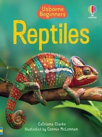 Produktbild: Reptiles (Usborne Beginners)