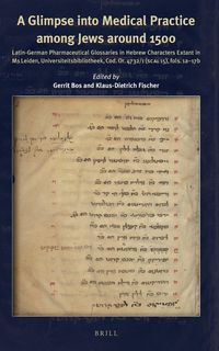 Produktbild: A Glimpse into Medical Practice among Jews around 1500