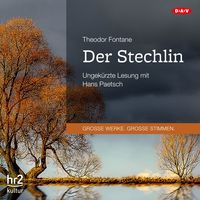 Produktbild: Der Stechlin