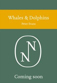 Produktbild: Evans, P: Whales and Dolphins