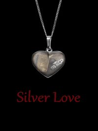 Produktbild: Silver Love