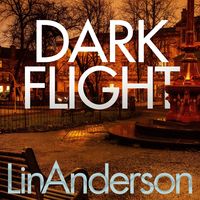 Produktbild: Dark Flight
