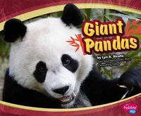 Produktbild: Giant Pandas