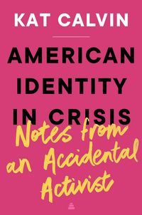 Produktbild: American Identity in Crisis: Notes from an Accidental Activist