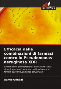 Produktbild: Efficacia delle combinazioni di farmaci contro lo Pseudomonas aeruginosa XDR