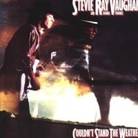 Produktbild: Vaughan, S: Couldn't Stand The Weather