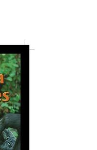 Produktbild: Gorilla Families