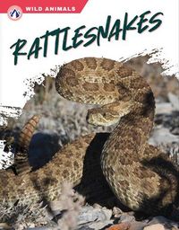 Produktbild: Rattlesnakes