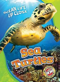 Produktbild: Sea Turtles