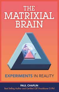 Produktbild: The Matrixial Brain