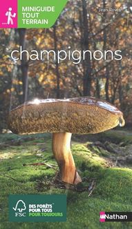 Produktbild: Champignons