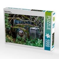 Produktbild: CALVENDO Puzzle Zugewachsen | 1000 Teile Lege-Gr&ouml;&szlig;e 64x48cm Foto-Puzzle f&uuml;r gl&uuml;ckliche Stunden
