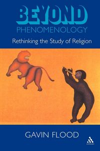 Produktbild: Beyond Phenomenology