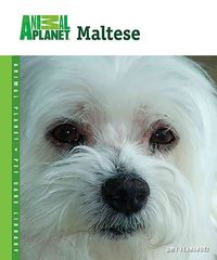 Produktbild: Fernandez, A: MALTESE