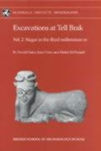 Produktbild: Excavations at Tell Brak