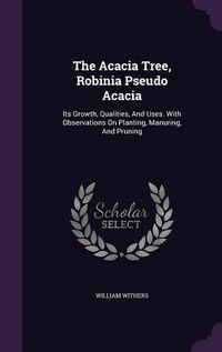 Produktbild: The Acacia Tree, Robinia Pseudo Acacia
