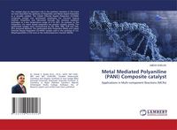 Produktbild: Metal Mediated Polyaniline (PANI) Composite catalyst