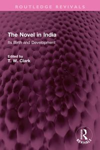 Produktbild: The Novel in India