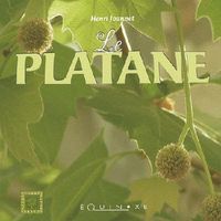 Produktbild: Le Platane
