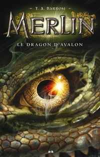 Produktbild: Le dragon d'Avalon