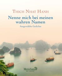 Bild vom Artikel Nenne mich bei meinen wahren Namen vom Autor Thich Nhat Hanh