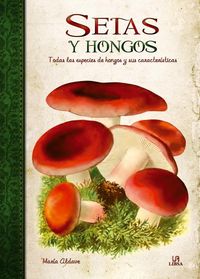 Produktbild: Setas y hongos