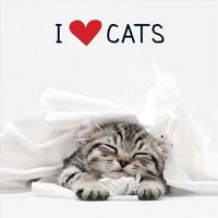 Produktbild: I Love Cats