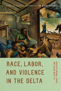 Produktbild: Race, Labor, and Violence in the Delta