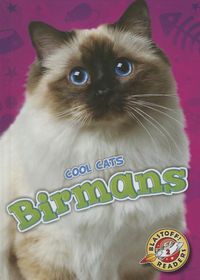 Produktbild: Birmans