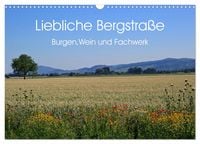 Produktbild: Liebliche Bergstra&szlig;e - Burgen, Wein und Fachwerk (Wandkalender 2026 DIN A3 quer), CALVENDO Monatskalender