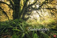 Zauberwälder Edition Kalender 2024. Wandkalender XL mit Fotos verwunschener Wälder und Lichtungen. Kalender-Großformat mit hochwertigen und geheimn von Heye