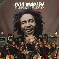 Produktbild: Bob Marley With The Chineke! Orchestra (Ltd. Dlx.)