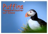 Produktbild: Puffins - Papageientaucher auf Island (Wandkalender 2027 DIN A3 quer), CALVENDO Monatskalender
