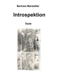 Produktbild: Introspektion