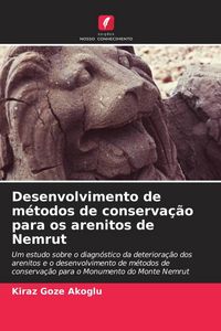 Produktbild: Desenvolvimento de m&eacute;todos de conserva&ccedil;&atilde;o para os arenitos de Nemrut