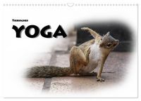 Produktbild: Tierisches Yoga (Wandkalender 2026 DIN A3 quer), CALVENDO Monatskalender