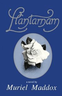 Produktbild: Llantarnam