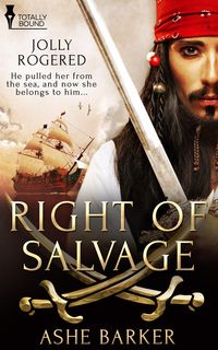Produktbild: Right of Salvage