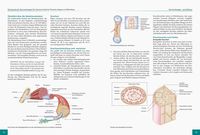 Die Anatomie der Sportverletzungen