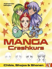 Bild vom Artikel Manga Crashkurs vom Autor Aleksandar Mihajlov