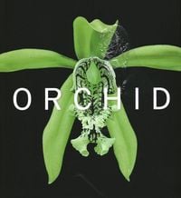Produktbild: Orchid