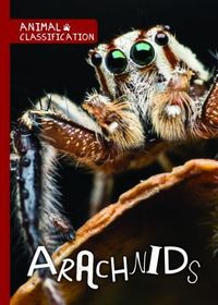 Produktbild: Arachnids
