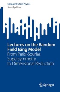 Produktbild: Lectures on the Random Field Ising Model
