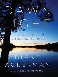 Produktbild: Dawn Light