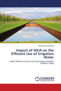 Produktbild: Impact of WUA on the Efficient Use of Irrigation Water